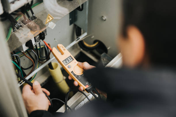 Best Affordable Electrician  in Fowlerville, MI