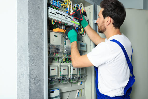 Best Home Electrical Repair  in Fowlerville, MI