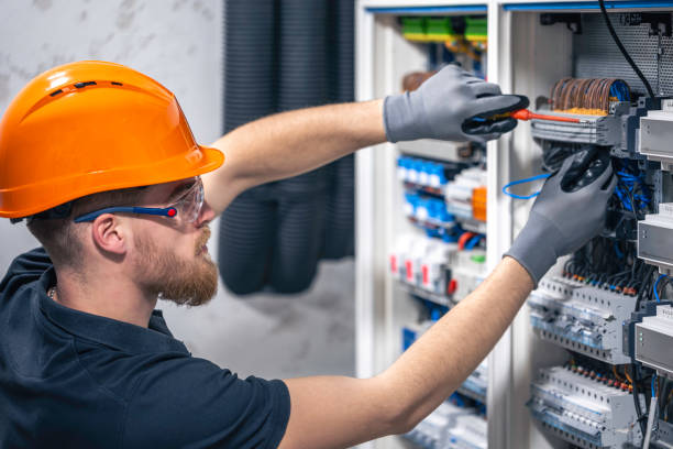Best Local Electrician Companies  in Fowlerville, MI