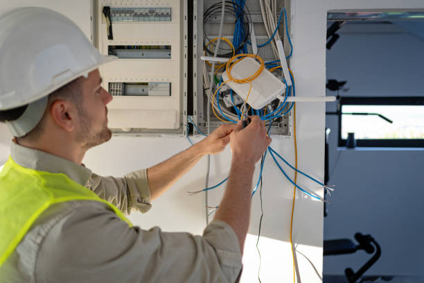 Best Electrical Troubleshooting Services  in Fowlerville, MI